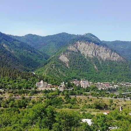 Вилла Гостевой дом Илия Боржоми Экстерьер фото