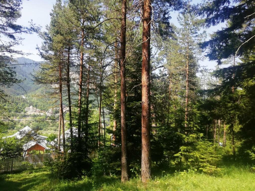 Вилла Гостевой дом Илия Боржоми Экстерьер фото
