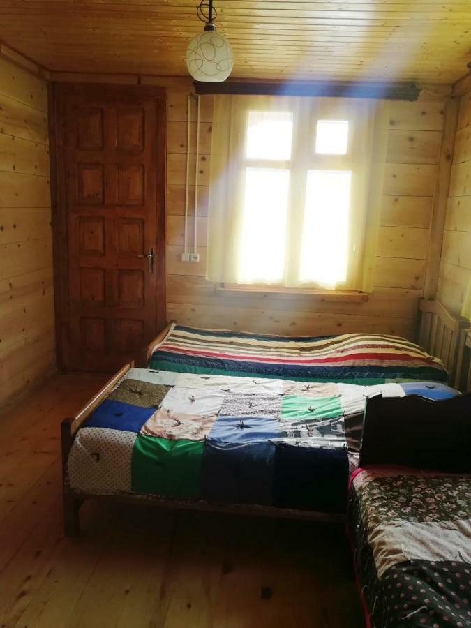 Вилла Гостевой дом Илия Боржоми Экстерьер фото