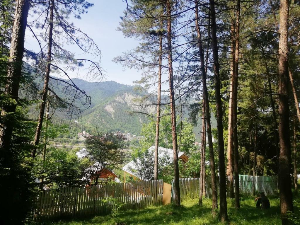 Вилла Гостевой дом Илия Боржоми Экстерьер фото